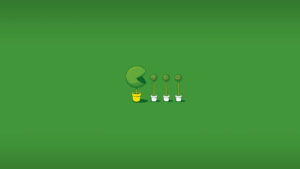 Цветы Packman