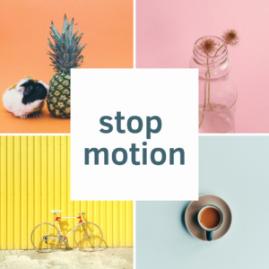 stop motion, стоп моушн
